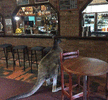 Waiting for a beer.gif