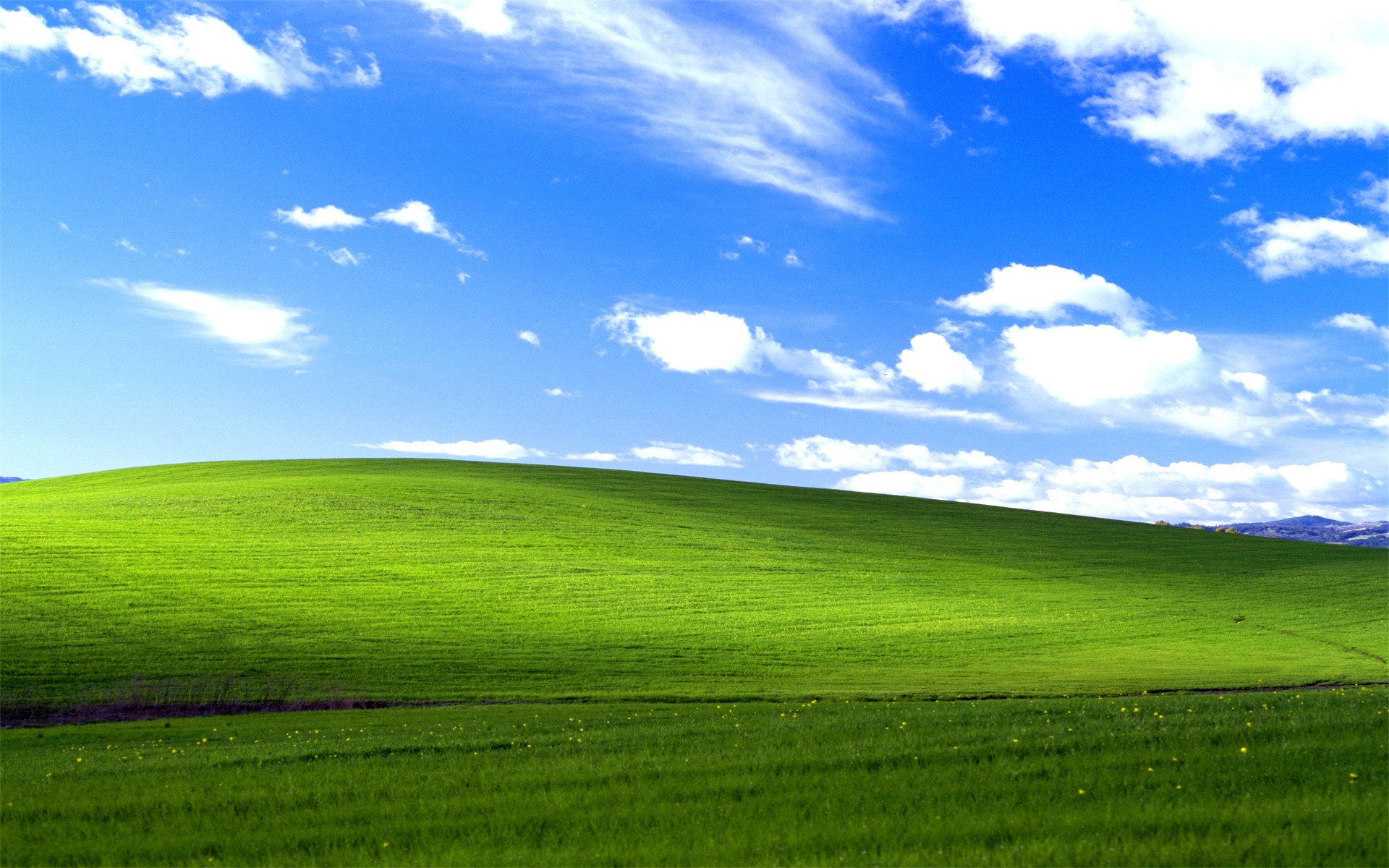 Windows XP main wallpaper