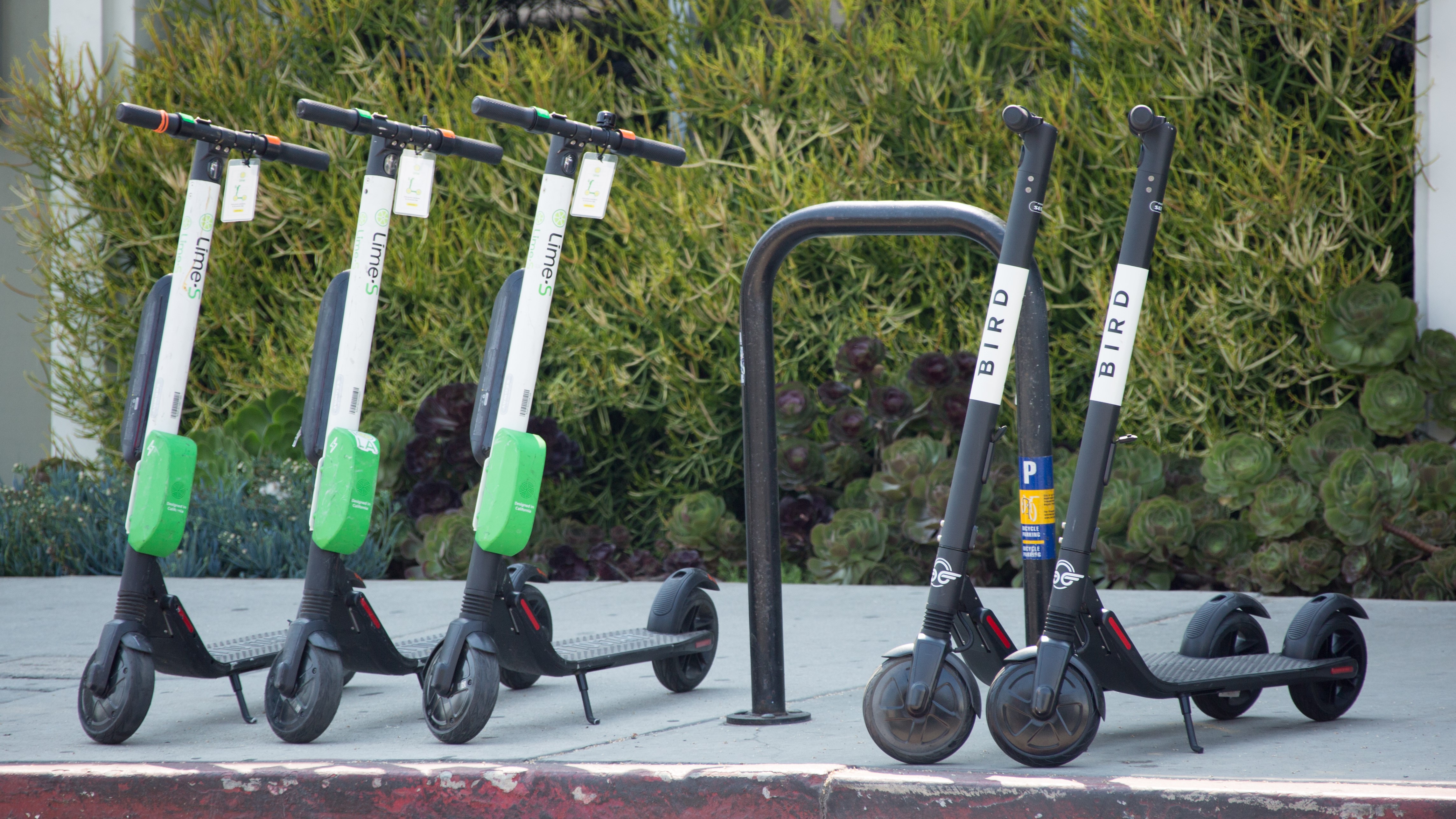 Bird and Lime electric scooters